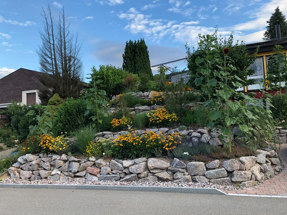 Gartenbau Zürich - Bepflanzung