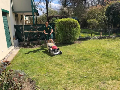 Gartenservice Zürich - Gartenpflege
